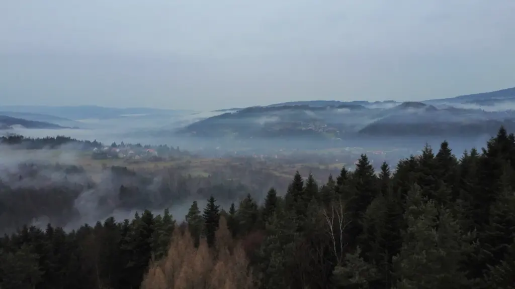 Jesienna mgła w polskiej dolinie z drzewami i domami w tle